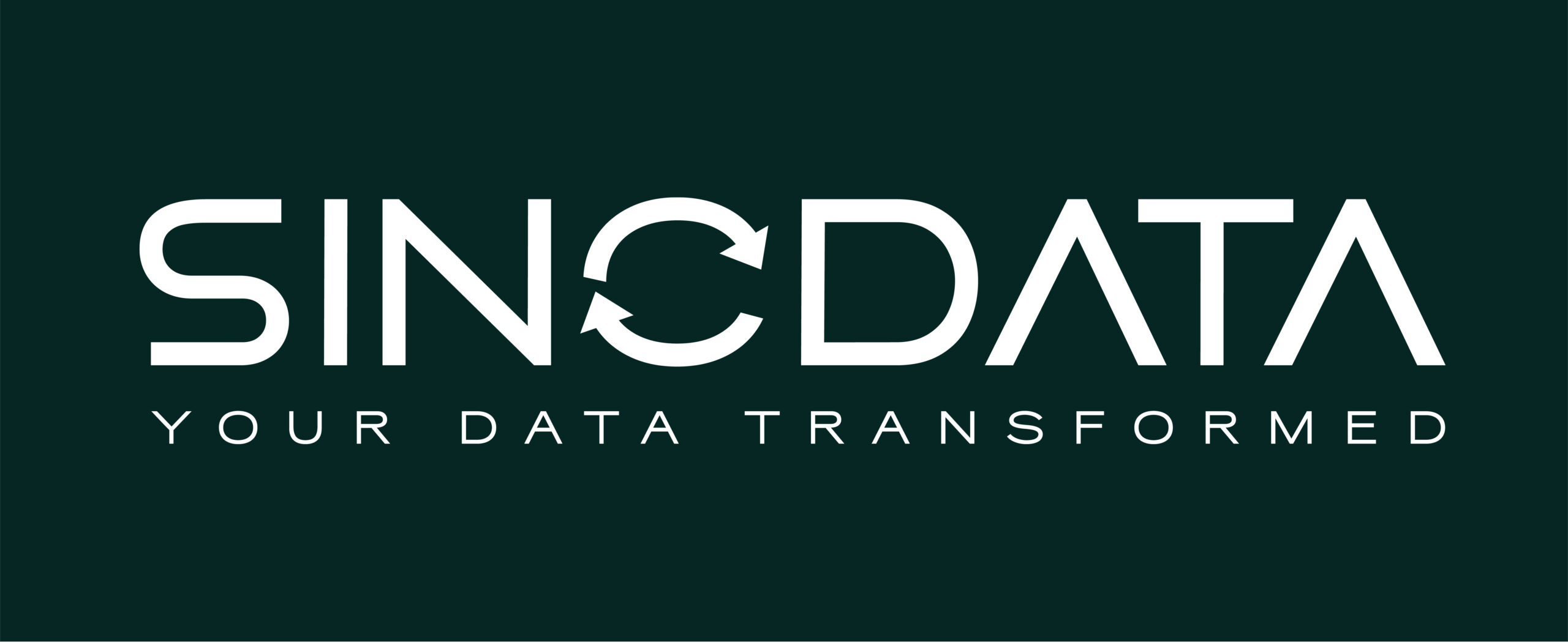 AI and DATA TOGETHER